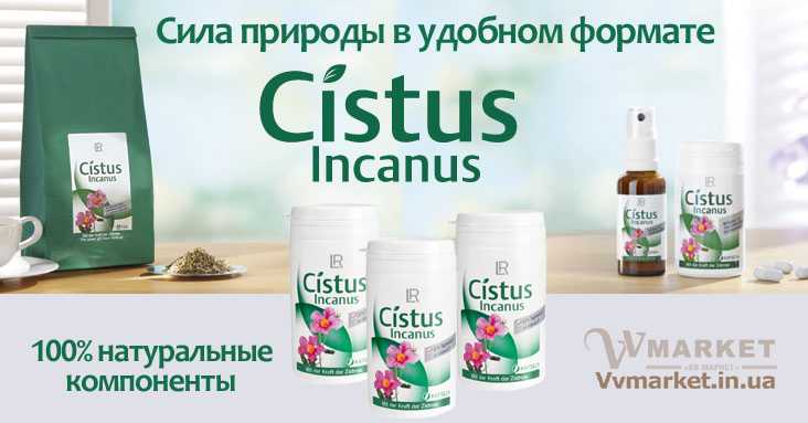 Купить Капсулы Cistus Incanus ладанник и мята (с витаминами), набор, 3х60 капсул, LR с доставкой Киев, Авдеевка, Акимовка, Александрия, Александровка, Александровка, Алупка, Алушта, Алчевск, Амвросиевка, Антрацит, Апостолово, Арбузинка, Армянск, Артемовск, Арциз, Ахтырка, Балаклея, Балта, Бар, Барановка, Барвенково, Барышевка,   Бахмач, Бахчисарай, Баштанка, Белая Церковь, Белгород-Днестровский, Беловодск, Белогорск, Белогорье, Белозерка, Белополье, Беляевка, Бердичев,   Бердянск, Берегово, Бережаны, Березанка, Березино, Березовка, Берислав, Бершадь, Близнюки, Бобринец, Бобровица, Богодухов, Богуслав, Болград,   Болехов, Борзна, Борислав, Борисполь, Боровая, Бородянка, Борщев, Боярка, Бровары, Броды, Брусилов, Брянка, Бузуков, Бурштын, Бурынь, Буск, Бучач,   Валки, Варва, Васильевка, Васильков, Васильковка, Великая Белозерка, Великая Новоселка, Верхнеднепровск, Верхов, Верховина, Веселиново, Веселое,   Вижница, Винница, Виноградов, Виньковцы, Вишневое, Владимир-Волынский, Владимирец, Вознесенск, Волноваха, Воловец, Володарка, Володарское,   Волочиск, Волчанск, Вольногорск, Вольнянск, Врадиевка, Высокополье, Вышгород, Гадяч, Гайворон, Гайсин, Галич, Гаспра, Геническ, Герца, Глеваха,   Глобино, Глухов, Глыбокая, Голая Пристань, Голованевск, Горловка, Горностаевка, Городенка, Городище, Городня, Городок, Горохов, Гоща, Гребенка,   Гуляйполе, Гурзуф, Гусятин, Двуречная, Дебальцево, Демидовка, Деражня, Дергачи, Джанкой, Дзержинск, Диканька, Днепродзержинск, Днепропетровск,   Днепрорудное, Доброполье, Добрянка, Докучаевск, Долина, Долинская, Доманевка, Донецк, Драбов, Дрогобыч, Дружковка, Дубно, Дубровица, Дунаевцы,   Евпатория, Еланец, Емильчино, Енакиево, Жашков, Желтые Воды, Жидачев, Житомир, Жмеринка, Жолква, Залещики, Запорожье, Заречное, Заставна,   Зачепиловка, Збараж, Зборов, Звенигородка, Згуровка, Здолбунов, Зеньков, Змиев, Знаменка, Золотоноша, Золочев, Ивано-Франковск, Ивановка, Иванычи,   Измаил, Изюм, Изяслав, Илларионово, Ильинцы, Ильичевск, Ирпень, Иршава, Ичня, Кагарлык, Казанка, Казатин, Каланчак, Калиновка, Калуш, Каменец-  Подольский, Каменка, Каменка-Бугская, Каменка-Днепровская, Камень-Каширский, Канев, Карловка, Катеринополь, Каховка, Кегичевка, Кельменцы, Керчь,   Киверцы, Киев, Килия, Кировоград, Кировск, Кировское, Кицмань, Кобеляки, Ковель, Кодыма, Козелец, Козельщина, Козова, Козятин, Коломак, Коломыя,   Компанеевка, Комсомольск, Конотоп, Константиновка, Кореиз, Корец, Короп, Коростень, Коростышев, Корсунь-Шевченковский, Корюковка, Косов,   Костополь, Котельва, Котовск, Краматорск, Красилов, Красноармейск, Красноград, Краснодон, Краснокутск, Красноперекопск, Краснополье, Красные Окны, Красный Лиман, Красный Луч, Кременчуг, Кривой Рог, Куйбышево, Кулиничи, Купянск, Ладыжин, Лисичанск, Лозовая, Лопатин, Лохвица, Лубны, Луганск,   Луцк, Львов, Люботин, Макеевка, Мангуш, Марганец, Мариуполь, Марьинка, Мелитополь, Мена, Мерефа, Миргород, Михайловка, Млинов, Могилев-Подольский, Молодецкое, Монастыриска, Монастырище, Моршин, Мостиска, Мукачево, Мурованые Куриловцы, Народичи, Недригайлов, Нежин, Немиров, Нетишин, Нижние Серогозы, Николаев, Никополь, Новая Каховка, Новая Одесса, Новая Ушица, Новгород-Северский, Новгородка, Новоазовск, Новоайдар, Новоархангельск, Нововолынск, Нововоронцовка, Новоград-Волынский, Новоднестровск, Новомиргород, Новомосковск, Новопсков, Новоселица,   Новотроицкое, Новоукраинка, Новояворовск, Новые Санжары, Новый Буг, Носовка, Обухов, Овидиополь, Овруч, Одесса, Онуфриевка, Оратов, Орджоникидзе, Орехов, Оржица, Острог, Очаков, Павлоград, Первомайск, Первомайский, Первомайское, Перевальск, Перемышляны, Перечин, Переяслав-Хмельницкий, Першотравенск, Першотравенск, Петрово, Петропавловка, Печенеги, Пирятин, Погребище, Подволочиск, Подгайцы, Полесское, Пологи, Полонное, Полтава, Попасная, Попельня, Приазовское, Прилуки, Приморск, Пустомыты, Путивль, Путила, Пятихатки, Радехов, Радомышль, Радывылив, Раздельная, Раздольное, Ракитное, Ратнов, Рахов, Репки, Решетиловка, Ровеньки, Ровно, Рогатин, Рожище, Рожнятов, Розовка, Романов, Ромны, Рубежное, Ружин, Саврань, Садовое, Саки, Самбор, Сарата, Сарны, Сахновщина, Свалява, Сватово, Свердловск, Светловодск, Севастополь, Северодонецк, Селидово, Семеновка, Семеновка, Середина-Буда, Симферополь, Синельниково, Скадовск, Сквира, Сколе, Славута, Славутич, Славяносербск, Славянск, Смела, Снежное, Снигиревка, Снятин, Сокаль, Сокиряны, Соленое, Сосница, Сосновка, Софиевка, Ставище, Старая Выжевка, Старая Синява, Старобельск, Старобешево, Старое село, Староконстантинов, Старый Самбор, Стаханов, Сторожинец, Стрый, Судак, Сумы, Счастье, Талалаевка, Тальное, Тараща, Тарутино, Татарбунары, Тельманово, Теофиполь, Теплик, Теребовля, Терновка, Тернополь, Тетиев, Тлумач, Токмак, Томаковка, Томашполь, Торез, Троицкое, Тростянец, Трускавец, Тульчин, Турийск, Турка,Тячев, Ужгород, Украинка, Ульяновка, Умань, Устиновка, Фастов, Феодосия, Фрунзовка,   Харцызск, Харьков, Херсон, Хмельник, Хмельницкий, Хорол, Хотин, Христиновка, Хуст, Харичанка, Цюрупинск, Олешки, Чаплинка, Чемеровцы, Червоноармейск, Черноморск, Червоноград, Черкассы, Черневцы, Чернигов, Черниговка, Черновцы, Черногородка, Черняхов, Чортков, Чугуев, Чутово,   Шаргород, Шахтерск, Шацк, Шепетовка, Широкое, Ширяево, Шишаки, Шостка, Шпола, Шумск, Щорс, Энергодар, Южноукраинск, Южный, Яворов, Яготин, Ялта, Ямполь, Яремча, Ярмолинцы, Ясиноватая, Украина, Россия, Казахстан
